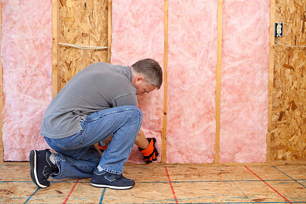 Types of Insulation We Offer in Emerald Lakes, PA